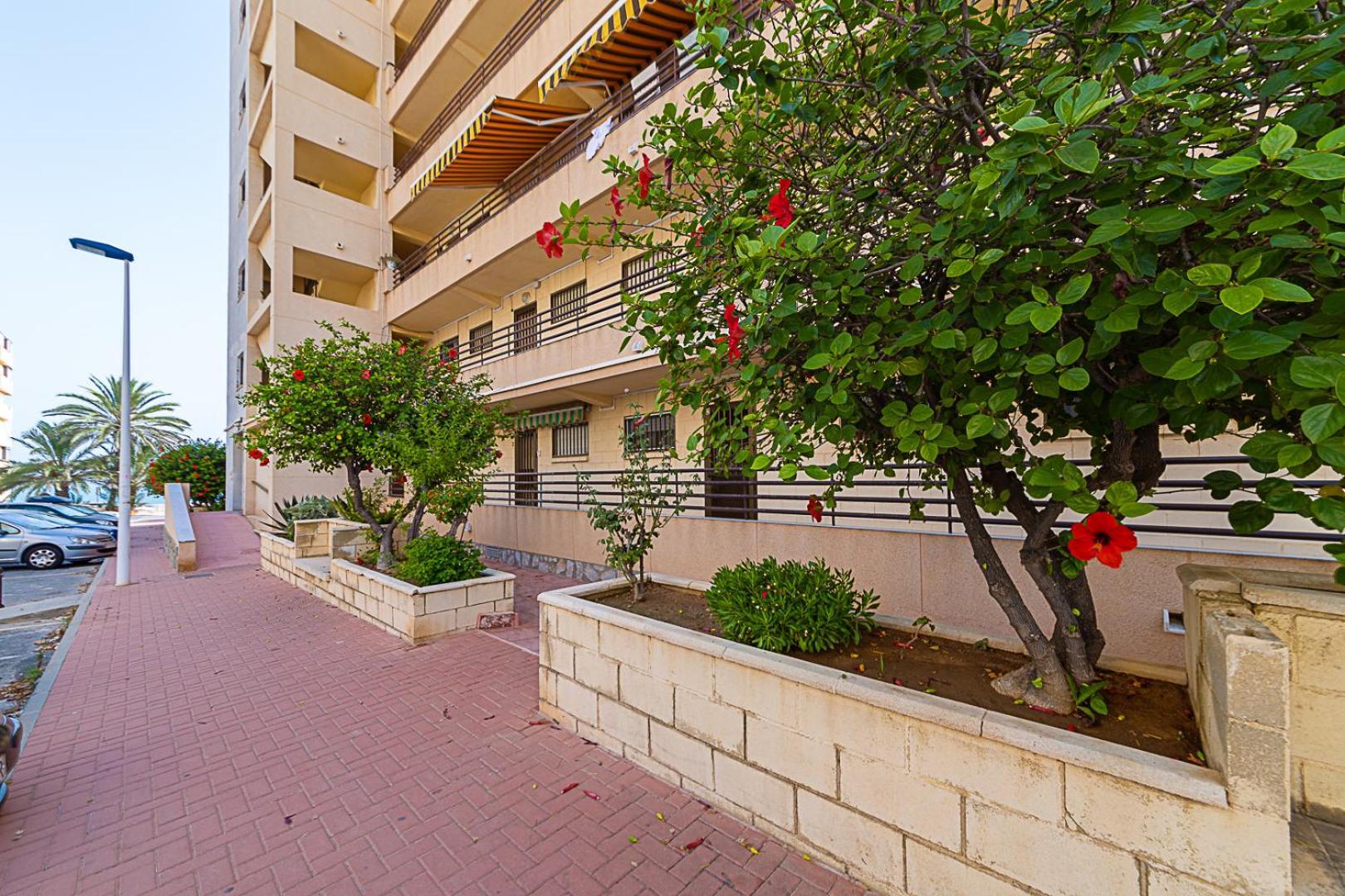 Miramar Magic Sea & Sunrise View Apartment Torrevieja Exterior photo